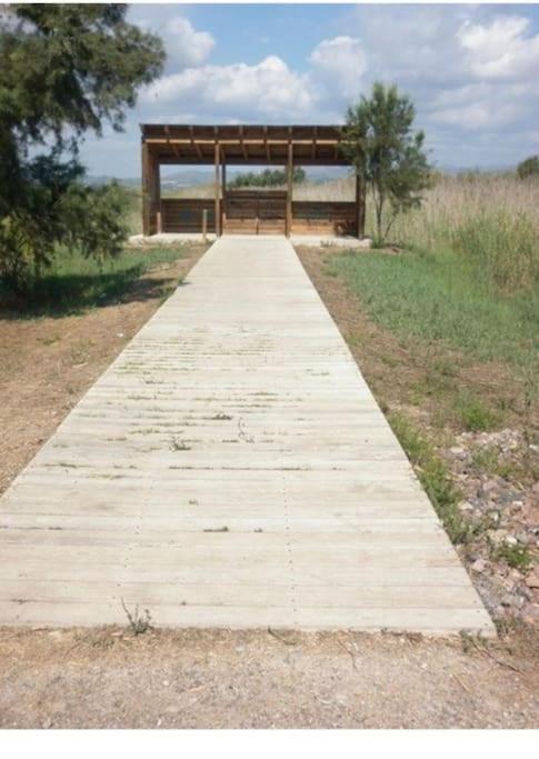 Apartamento Junto Al Mar Con Wifi Y Piscina Sagunto Exteriör bild